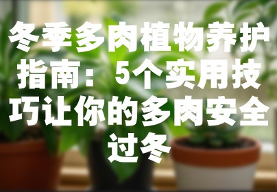 冬季多肉植物养护指南：5个实用技巧让你的多肉安全过冬