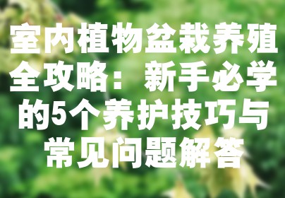 室内植物盆栽养殖全攻略：新手必学的5个养护技巧与常见问题解答