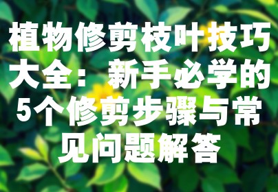 植物修剪枝叶技巧大全：新手必学的5个修剪步骤与常见问题解答